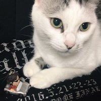 玲音 (@leon1669) 's Twitter Profile Photo