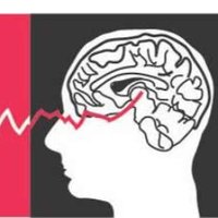 CORTICAL DYNAMICS (@cortical10) 's Twitter Profile