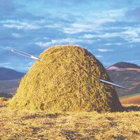 HaystackApp (@haystackapp) 's Twitter Profile