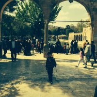 Murat Kaya (@ka05443446764) Twitter profile photo