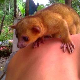 AngelAngeltovar's profile picture. 