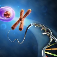 Northbridge Biology (@nhsbioteach) 's Twitter Profile Photo Northbridge Biology (@nhsbioteach) 's Twitter Profile Photo