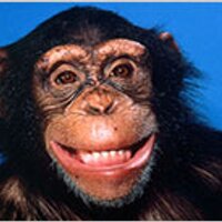 Andrew (@fayse) 's Twitter Profile