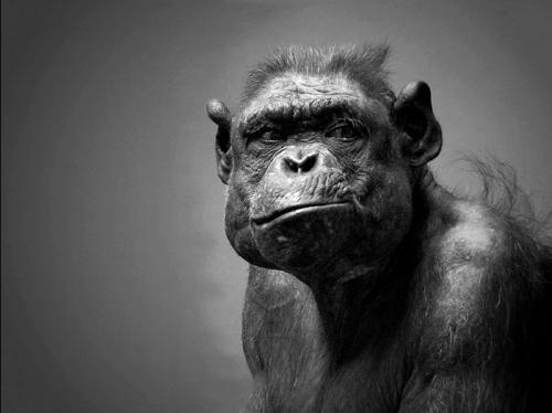 Vivo cada día; aprendo de mis errores, defectos y vicios. 
Soy humano y quiero a la gente que quiero.
La imagen que ves es un espejo.