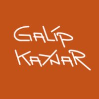 galip kaynar(@GalipKaynarFLMH) 's Twitter Profile Photo