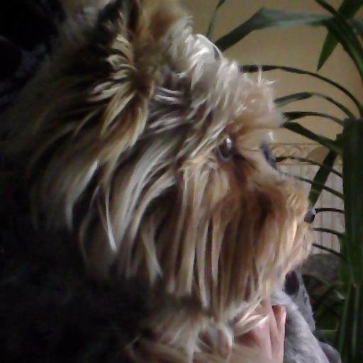 Valgeahv1's profile picture. 