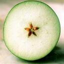 Harley Page - @GreenSibyl - Twitter