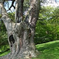 ECI_bio (@eci_bio) 's Twitter Profile