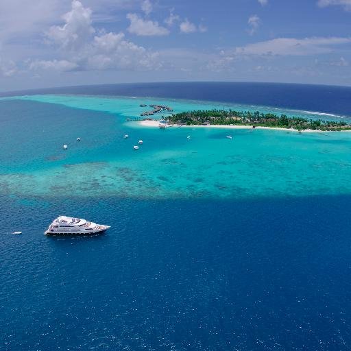 Maldivesafari's profile picture. Maldives boutique class live-aboard: fine dining exquisite diving NITROX free