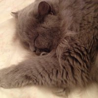 Cherishe_77🎗️ (@cherishe_77) 's Twitter Profile Photo