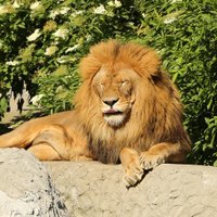 Marek K4 🦋 🦋 🦋 (@marek_k4) 's Twitter Profile