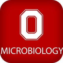 MicrobiologyOSU Profile Picture