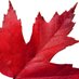 Canada 150 (@canada150events) Twitter profile photo Canada 150 (@canada150events) Twitter profile photo