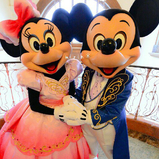 mirin0316's profile picture. 可愛いものと食べものとミニーちゃんに目がない社会人♡TDR年パス2010-15♡カフェとアフタヌーンティーセットが好きです♡