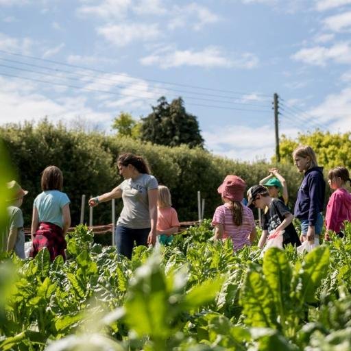 sproutsfarmclub's profile picture. A farm exclusively for kids clubs and school projects in Jersey, Channel Islands. Inspiring a generation to learn and grow organically. #sproutsfarmclub