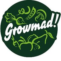 GrowMad(@grow_mad) 's Twitter Profile Photo