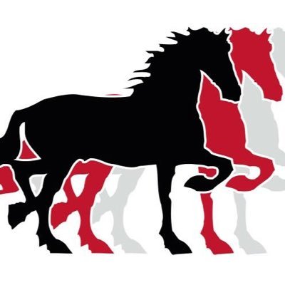 CHDokkum's profile picture. Kom zaterdag 24 juni 2017 naar het grootste paardensportevenement van Noord-Nederland: het Nationaal Concours Hippique Dokkum. Locatie: Tolhuispark Dokkum