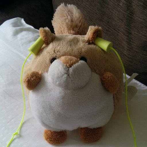 Binfo_Phil's profile picture. bioinformatician working on clinical metagenomics and LDTs for infectious diseases