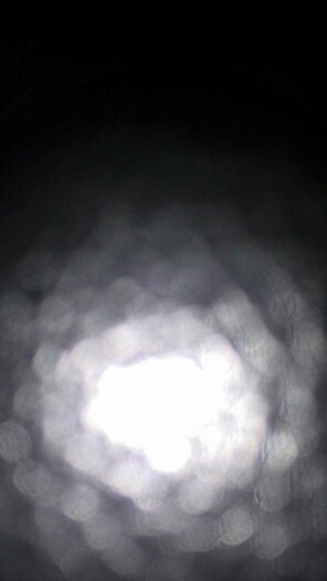 Biswell4's profile picture. nursery nurse