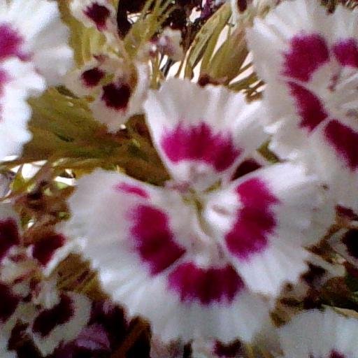 trenton_gail's profile picture. interior design, daydreamer and funlover