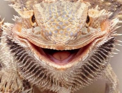 Nahr3n's profile picture. Telegram https://t.co/3HQpr94gpV
- Offensive Security (Red Teaming / PenTesting)
- BlueTeam (TreatHunting)
- Reverse Engineering / Malware Analisys
- Web Security