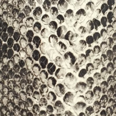 mhaggiag's profile picture. 