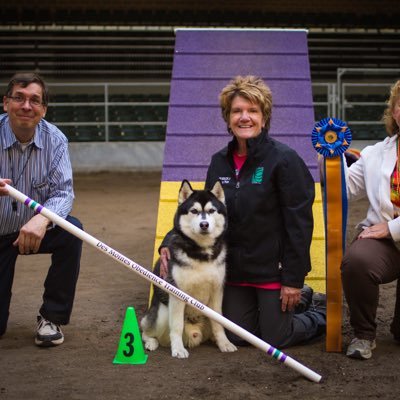 sammiesibemom's profile picture. Loving Retired Life with my Fur-kids