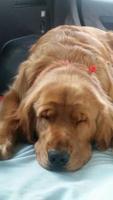 jamorenp's profile picture. 