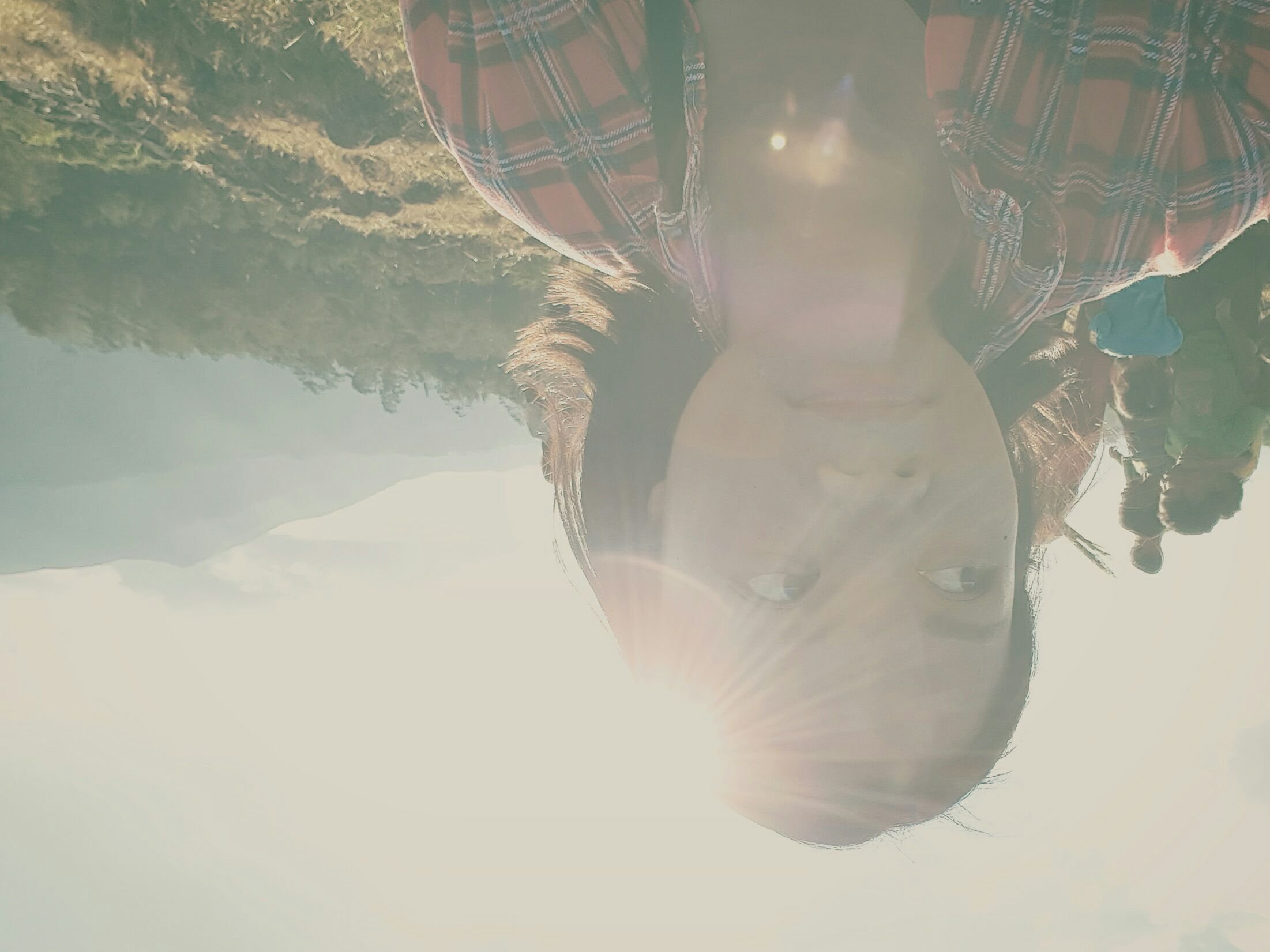 majourina's profile picture. 