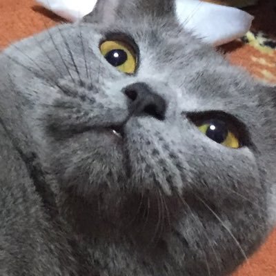 takashi154r's profile picture. 