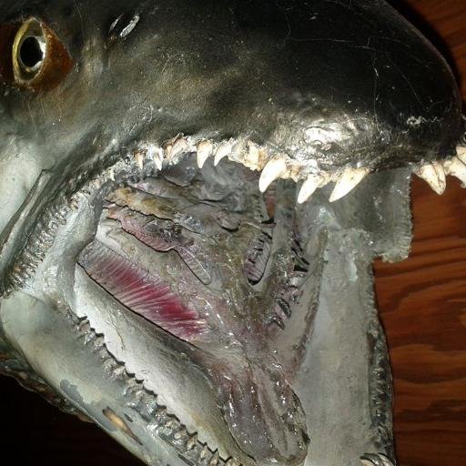 GravelRoute's profile picture. Listen to our Music here https://t.co/Hwv9UUOEmC