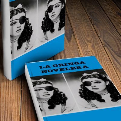 Author of LaGringa Novelera: Prosecutor by Day, Novelera By Night. I learned Spanish from telenovelas! In 