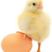 gallagher1586's profile picture. 