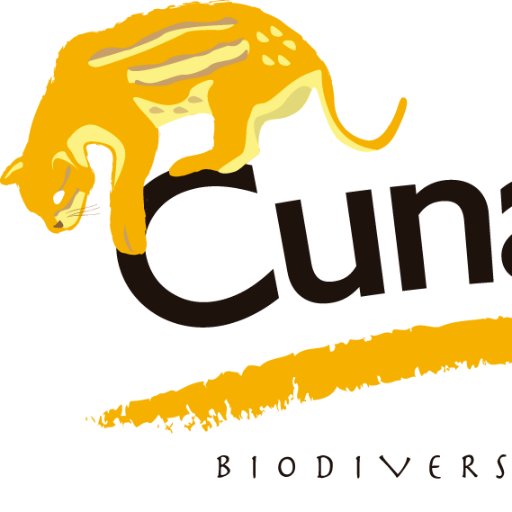 Perfil oficial de la Organización ambiental Cunaguaro Biodiversidad y Cultura.

Instagram: @cunaguarobio
Facebook: @fundacion.cunaguaro
