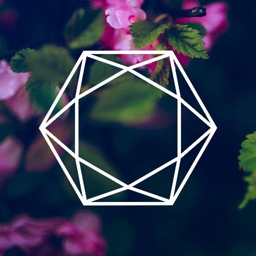 PaperParagon's profile picture. Custom Wedding Invitations