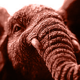 Republican talking points - before they happen.