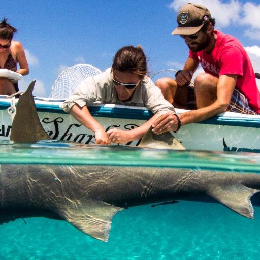 Fisheries Biologist at Lotic Environmental Ltd. Cranbrook. she/her