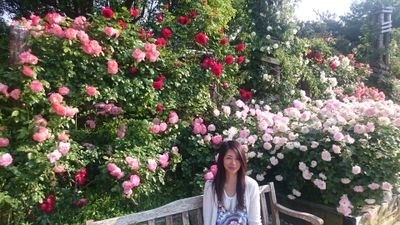 中井 真由美 M Nakaichan Twitter 中井 真由美 M Nakaichan Twitter