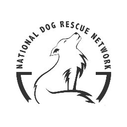 We are a non-profit organization dedicated to supporting no-kill dog rescues by coordinating professional service volunteerism and providing support @ no charge