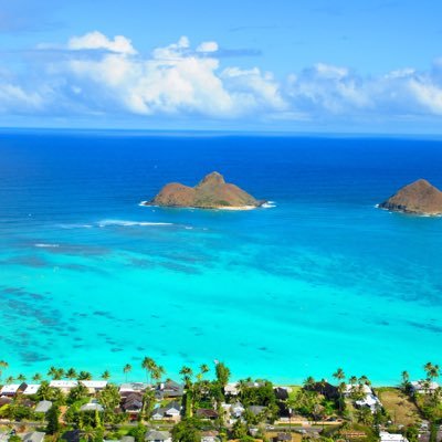 HallFamilyFour's profile picture. 