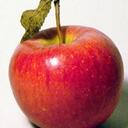 Eric Hou - @SomacChina - Twitter