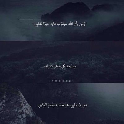 الحياة امل اذا فقدت الامل فقدت الحياة لاتيأس ففي كل صباح يولد امل جديد،،أعشق الصمت،والصمت عنوان اسطره في ابياتي ، والصمت عندي قاعدة اتبعها في حياتي..