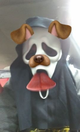 Fazeadapt100's profile picture. 