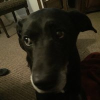 Christina MacRosty (@cmacrosty) 's Twitter Profile
