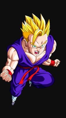 Hi I'm Gohan defeated Cell years ago and.Son of Goku mother of Chi Chi and have a little brother name Goten and husband of Videl and a Daughter name pan