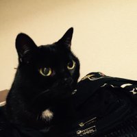 JSIDD Co. (@jsiddco) 's Twitter Profile