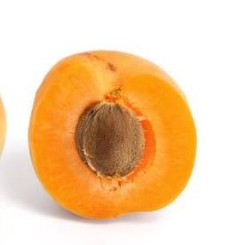 E4FMMA's profile picture. 