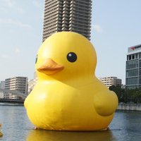 ajimitei (@ajimitei) Twitter profile photo