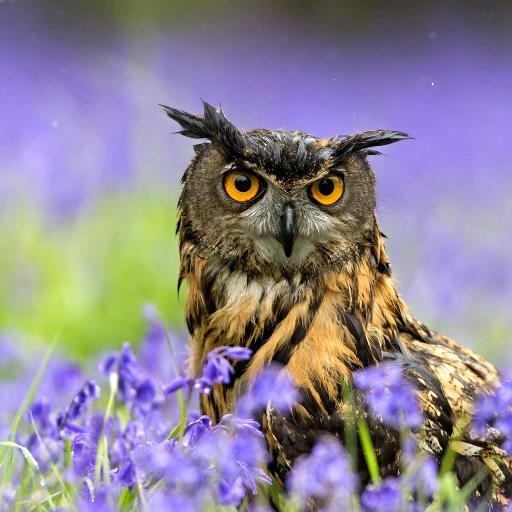 yohcsllc's profile picture. 