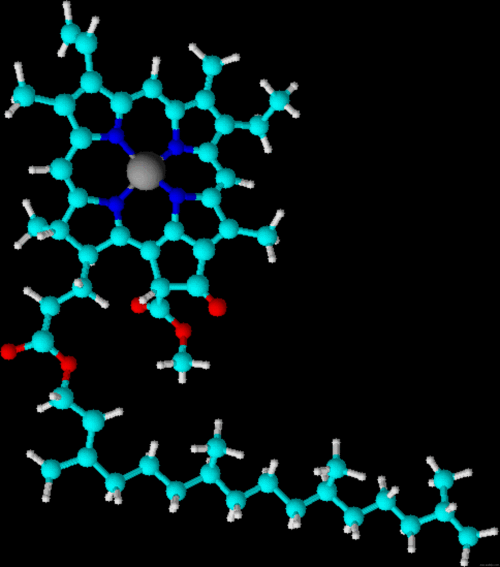 gen_kumagai's profile picture. 理工系書籍(主に化学)の編集者。担当した書籍は「化学便覧 基礎編 改訂6版」「ブラウン一般化学」「クリスチャン分析化学」など。WEcafe事務局 副代表。 WEcafe blog：https://t.co/E1HQB0Ltga 国立科学博物館認定サイエンスコミュニケータです。